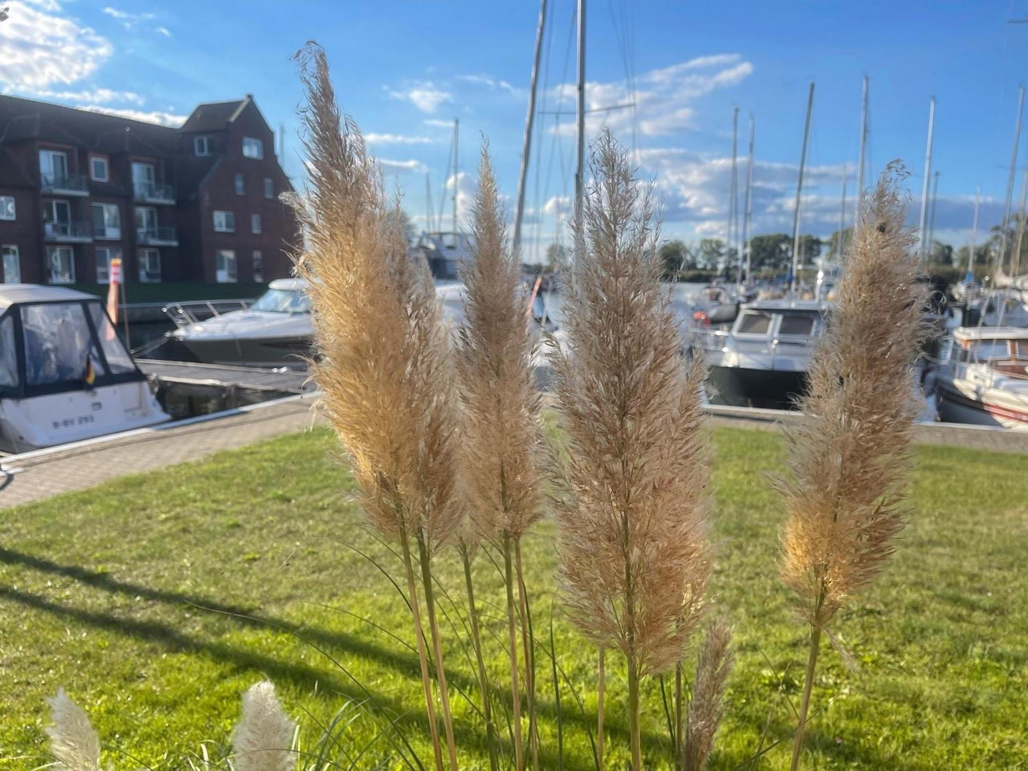 Apartamento Lagunenstadt Am Haff Fewo 47 - Kehr Wieder! Ueckermünde Exterior foto